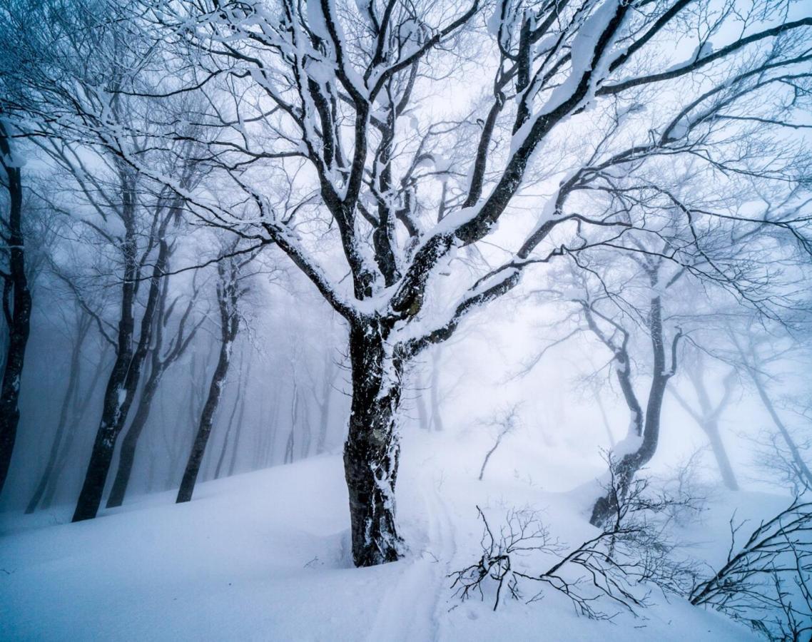 The Joint Bed and Breakfast Hakuba Buitenkant foto